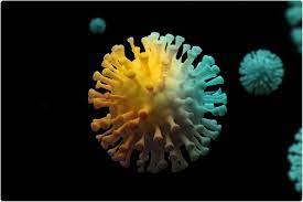 Antibiotic drugs don't work against viruses, and antiviral drugs haven't shown much benefit. What Do We Know About The Origin And Evolution Of Sars Cov 2