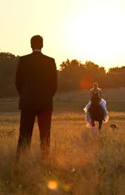 Wedding Shooting Sunrise With Horse And Dog Hochzeit Fotoshooting Mit Pferd Und Hund Horse Wedding Photos Horse Wedding Equestrian Wedding