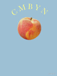 Call Me By Your Name Peach 2 Classic T Shirt By Notbrylee In 2021 Your Name Movie Your Name Wallpaper Aesthetic Names