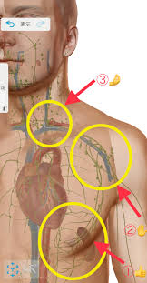 はたいち整骨院