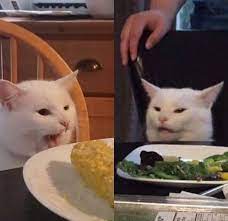 Our Obsession With Smudge The Table Cat Is Unmatched 18 Smudge Pics Cat Memes Funny Cat Memes Famous Memes