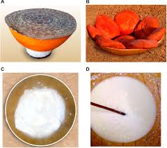 Sep 06, 2012 · feb 04, 2017 cathrine ☯️ rated it really liked it · review of another edition shelves: Frontiers High Throughput Illumina Miseq Amplicon Sequencing Of Yeast Communities Associated With Indigenous Dairy Products From Republics Of Benin And Niger Microbiology