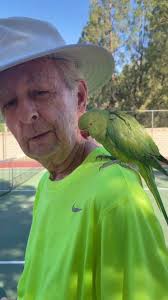 Who had QUADROPPHONIC?