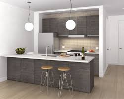 Que Tal Esta Cocina Pequena En Nuestro Tablero Puedes Ver Mas Cocinas Pequenas De Varias Caracteristi Small Modern Kitchens Beige Kitchen Modern Grey Kitchen