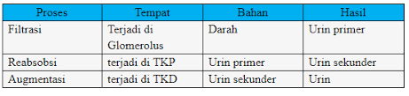 We did not find results for: Jawaban Esai Uji Kompetensi Bab 9 Ipa Kelas 8 Halaman 112 Sistem Ekskresi Manusia Contoh Materi Pendidikan