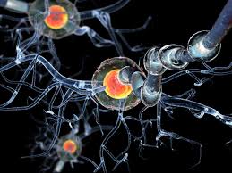 Existen múltiples teorías que intentan explicar el origen de la enfermedad. Por Dentro Tags Esclerosis Lateral Amiotrofica