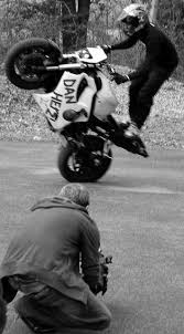 But in my spare time i ride big wheels. Couple Shots From Travis Pastrana S House Stunt Bike Forum