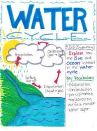 5th Grade Water Cycle In 2020 Water Cycle Water Cycle Project Water Cycle Poster