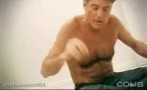 The hoff and spongebob squarepants, together at last! David Hasselhoff Gif On Gifer By Periginn