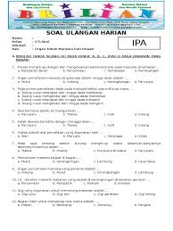 Program semester 1 kelas 5 sdmi kurikulum 2013. Soal Ipa Kelas 5 Sd Bab 1 Organ Tubuh Manusia Dan Hewan Dilengkapi Kunci Jawaban Pdf