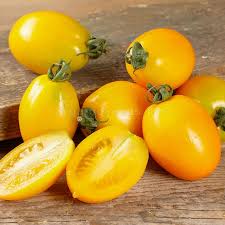 Image result for tomato Datterino