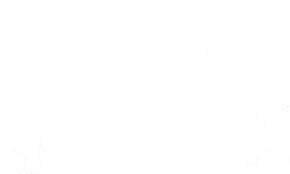 The Blur of Modernity: Essentialism, Affect and Everyday Life in Tokyo  Tobia Farnetti University College London Department of An