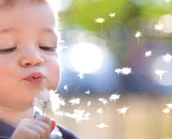 Drink Tank Australia