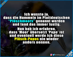 Exklusive clubedition 2002/2003 aus der serie kindheitsträume. Lustige Spruche Ich Wusste Ja Dass Die Hummeln Im Facebook