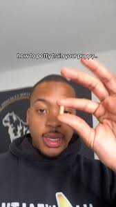 Potty Training Puppies with Pine Pellets: Day 1 Results