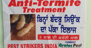 Expert recommended top 3 pest control services in kalyan dombivli, maharashtra. Pest Strikers India Pest Control Services In Punjab Patiala Address Guru