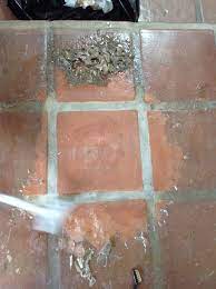 Purchase a stripper specifically made for saltillo tile from your hardware store. Mexican Saltillo Tile Restoration And Refinishing Services Rustic Miami By Marble Doctors Llc Houzz