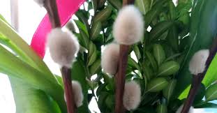 Symbolika palmy wielkanocnej