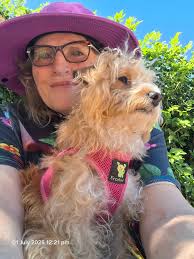 New dachshund baby introduction