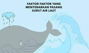 Sebutkan Faktor Faktor Yang Menyebabkan Pasang Surut Air Laut Penulis Cilik Tulisan Lautan