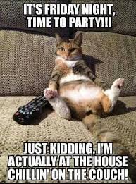 Funny Cat Refrigerator Magnet 3 1 2 X 4 1 2 Ebay Cat Quotes Funny Funny Cats Cute Animals With Funny Captions