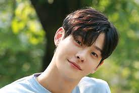 Country asia chinese hong hong kong indian japanese kong korean other other asia taiwanese thailand. Actor Cha In Ha Passes Away Agency Releases Official Statement Soompi