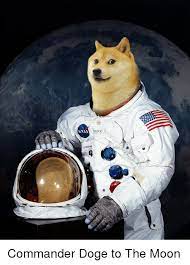 In the last fifteen days, doge price is spotted, trading around $0.0026. Nasa Doge Commander Doge To The Moon Doge Meme On Me Me