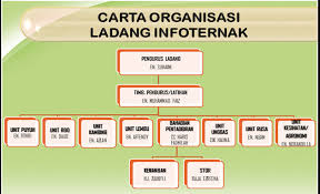 Jenis makanan yang paling sering diawetkan dengan metode pengasapan adalah ikan. Ladang Info Ternak