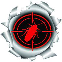 Don't try to kill rodents yourself, call all american pest management in port st. Home All American Pest Services