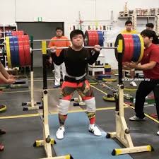 Squat Dolore Anche E Mobilita L Anatomia Delle Anche E Fondamentale Per Determinare La Stance Ed Il Rom Sicuro Nello Squat In Tutte Squats Athlete Lower Body