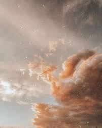 R O S I E Brown Aesthetic Picture Collage Wall Aesthetic Collage Shadow of the sun (aesthetic remix) — max elto. r o s i e brown aesthetic picture
