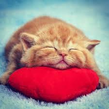 Pinterest