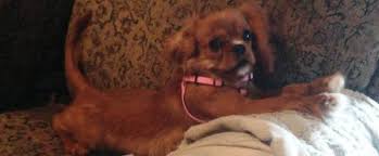 Profile for Pete Doty, Realtor