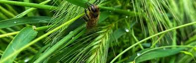 В 2021 году датой его является 20 июня, и во время праздника христианам необходимо знать о том, что им можно и нельзя делать. Kmsh7v8zdcdgfm