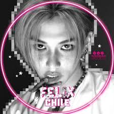 Felix chile (@felix___chile)