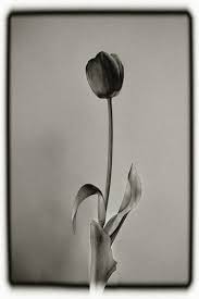 Update information for peter kane ». Peter Kane Artworks Saatchi Art