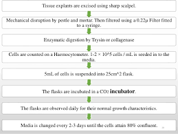 The liquid culture media provided all essential growth nutrients and fibrin clot of plasma provided the solid attachment surface for cell for better maintenance of cell culture. Animal Cell Culture Techniques