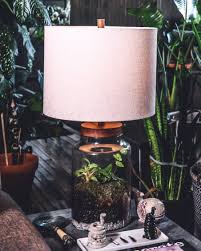 Lamp Base Terrarium Lamp Cool Plants Lamp Bases