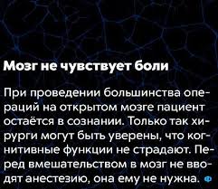 самый умный человек поступил в университет в 4 года Pin By Powergymens On Dnevnik Pamyati Facts Fun Facts Medical Advice