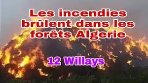 La situation sanitaire ne cesse de se détériorer en algérie provoquant une pénurie d'oxygène ainsi que la saturation dans les hôpitaux. Videos Des Feux De Forets Ravagent L Ouest Algerien La Presse Accuse Le Maroc Www Le360 Ma