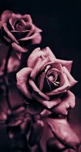 Wallpaper By Artist Unknown Gold Wallpaper Iphone Rose Gold Wallpaper Iphone Rose Gold Wallpaper
