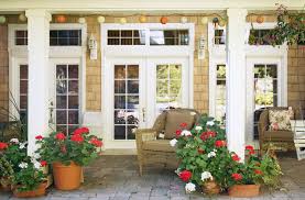 Annuals such as lobelia (lobelia erinus) and sweet alyssum (lobularia maritima) are among the best container flowers for partial sun and are recommended by the university of illinois extension for. The 20 Best Patio Plants To Make Your Home Look Even Happier