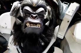 How To Make Your Overwatch Profile Private Every match is an intense multiplayer showdown pitting a diverse cast of soldiers, scientists, adventurers. how to make your overwatch profile private