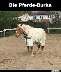 High quality burka images, illustrations, vectors perfectly priced to fit your project's budget from bigstock. 20 Lustige Bilder Von Burka In 2021 Lustig Memes Debeste