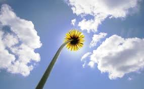 Spring Education Lessons Learned From The Sky Mom It Forward Looking Up Sky Beautiful Sky