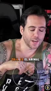 ¿Cuál es el animal más sádico? Descúbrelo aquí