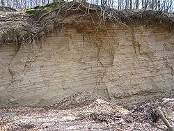 Stratified sediments