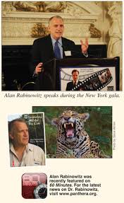 We offer a selection of accredited and recognised wildlife, zoology and conservation courses. Stuttering And The Big Cats Is An Inspirational Story Stuttering Foundation A Nonprofit Organization Helping Those Who Stutter