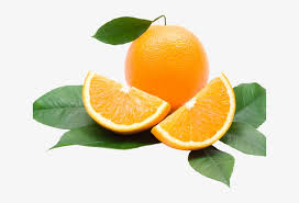 Maybe you would like to learn more about one of these? Orange Fruit Clipart Transparent Background Slimming Oil Pro Lab Sense Transparent Png 640x480 Free Download On Nicepng