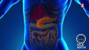 Le cancer du foie peut rester silencieux pendant assez longtemps cancer des poumons prévention, symptômes et traitements. Sante Prevenir Le Cancer Du Pancreas 2015 11 09 Youtube